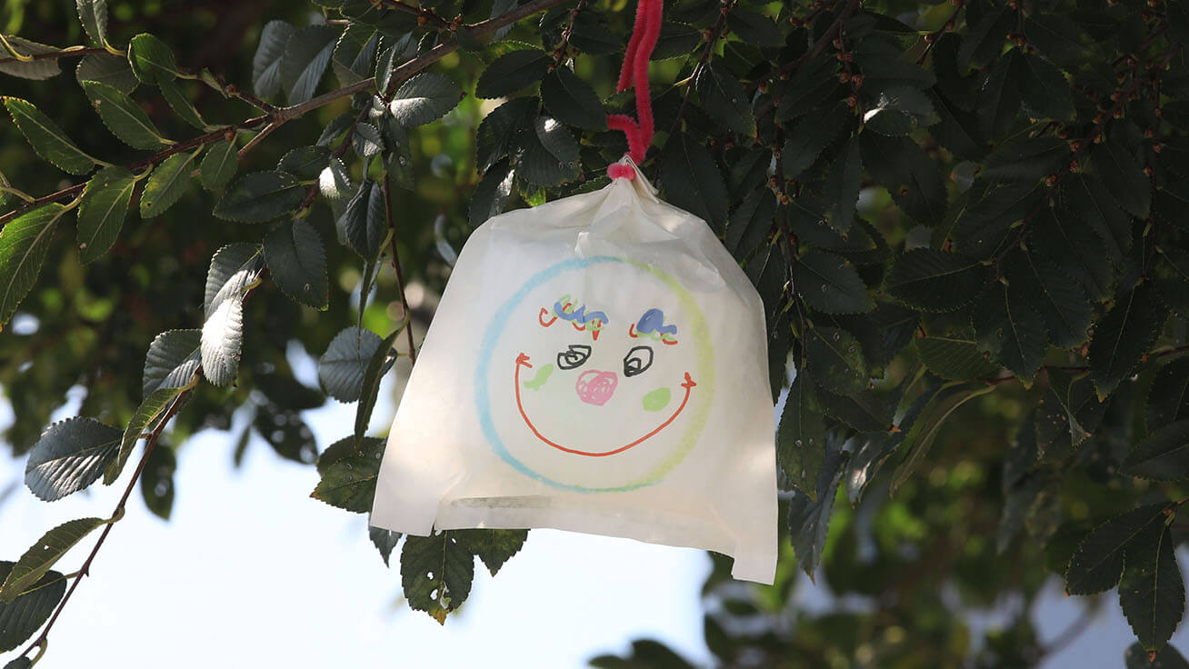 A Hikari no Mi hanging from a tree. (Photo: Mito Murakami)