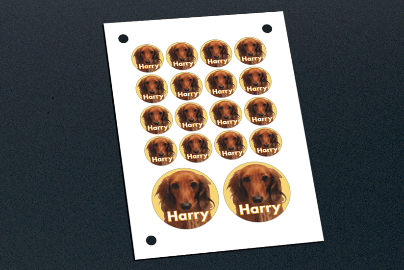 文字 イラストを利用してステッカーやサインを簡単に製作 より使いやすく さらに高機能になった小型カッティングマシン Stika Sv 15 12 8 ニュースリリース ローランド ディー ジー 文字 イラストを利用してステッカーやサインを簡単に製作 より使いやすく さらに高機能になった小型カッティングマシン Stika Sv 15 12 8 ニュースリリース ローランド ディー ジー